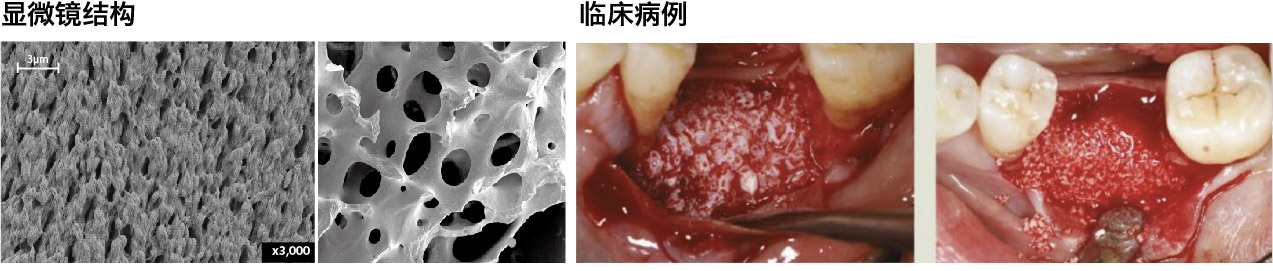 1749623752120821.jpg 內(nèi)圖-01.jpg